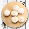 [다빈영농조합법인]양송이버섯 특품 2kg