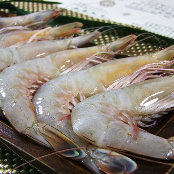 (û¾Ƚǰ)û¾ ڿ  1kg(30 /޳) + õϿ