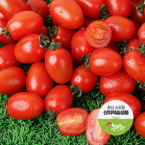 (6/1 오픈) 맛풍당당 제철농산물 6차 [예산] GAP 예가정성 대추방울 토마토 2kg
