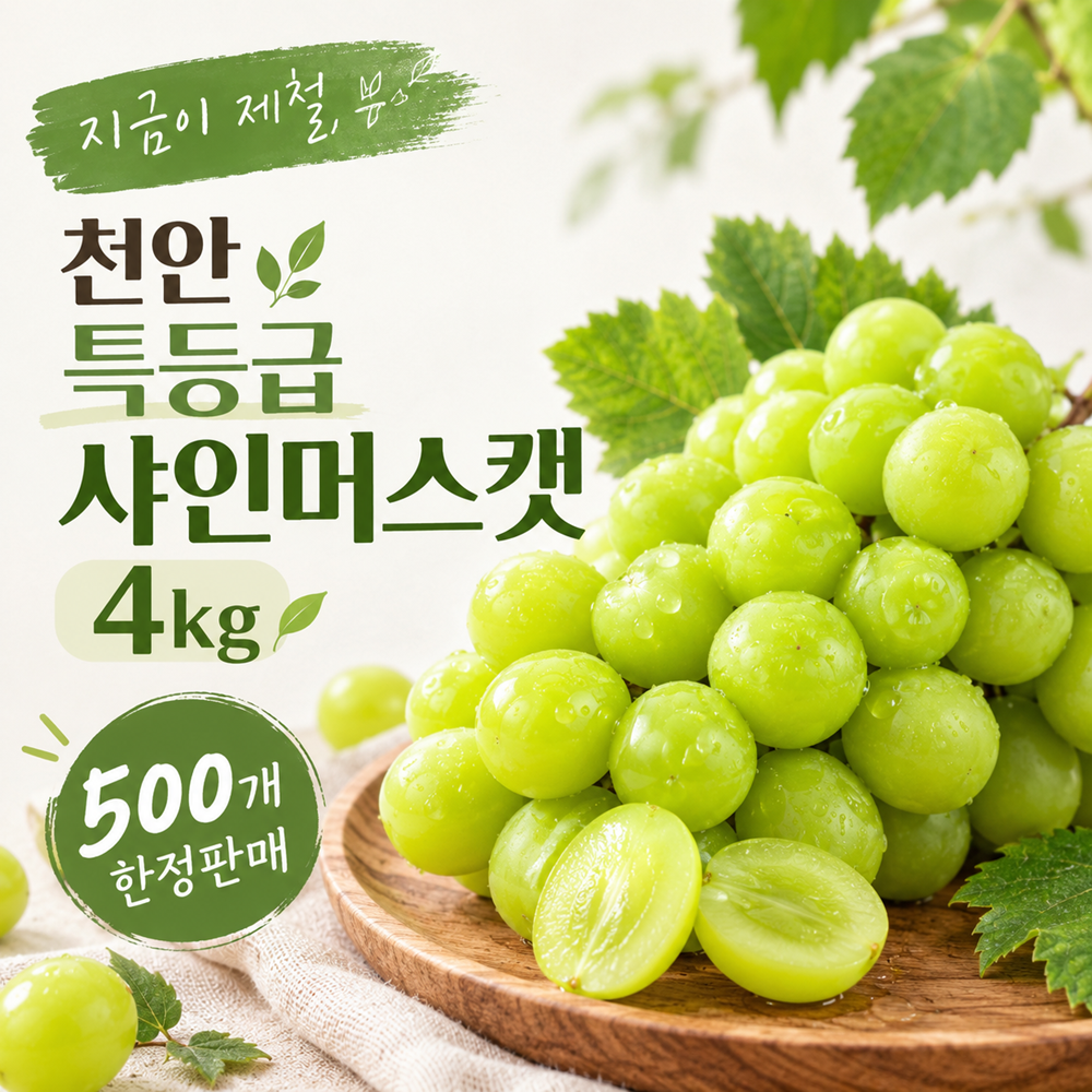 [지금이제철, 천안]특등급 샤인머스캣 (4kg/4~6수) 