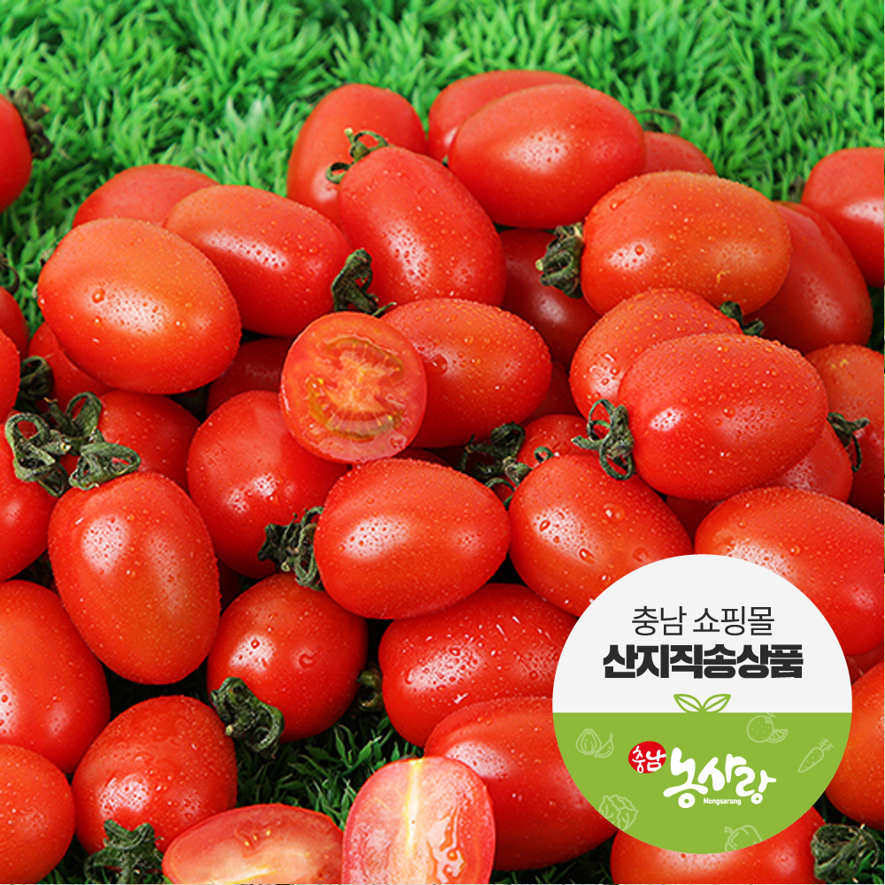 (7일부터 순차발송) 맛풍당당 제철농산물 1-3차 [예산] GAP 예가정성 대추방울 토마토 2kg