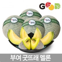  ������������չ���/ �ο��¶߷� /�ӽ�ũ��� /��������/4kg(2����)/8kg(4����)