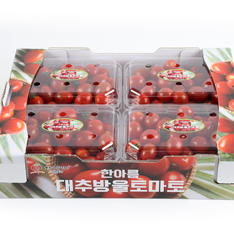 (ÇѾƸ§µþ±âÇùµ¿Á¶ÇÕ)Àúź¼ÒÀÎÁõ ÇѾƸ§ ´ëÃß¹æ¿ïÅ丶Åä 3kg