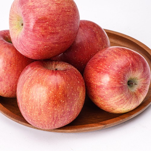 (¿¹´çÈ£³ó¿ø)¿¹»êȲÅä»ç°ú 4kg / 5kg