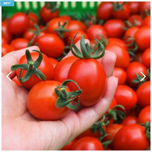 (�帮����)[100%ǰ������] GAP���� ���߹���丶�� 2kg, 5kg