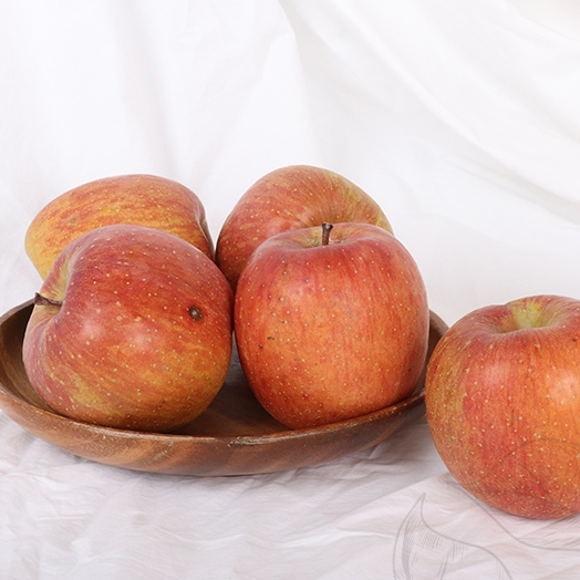 (�����ĸӽ�) ����Ȳ���� ������ 8kg(�Ұ�,���)