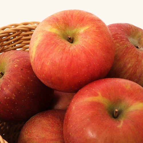 (���ٳ������) ��� 5kg/10kg