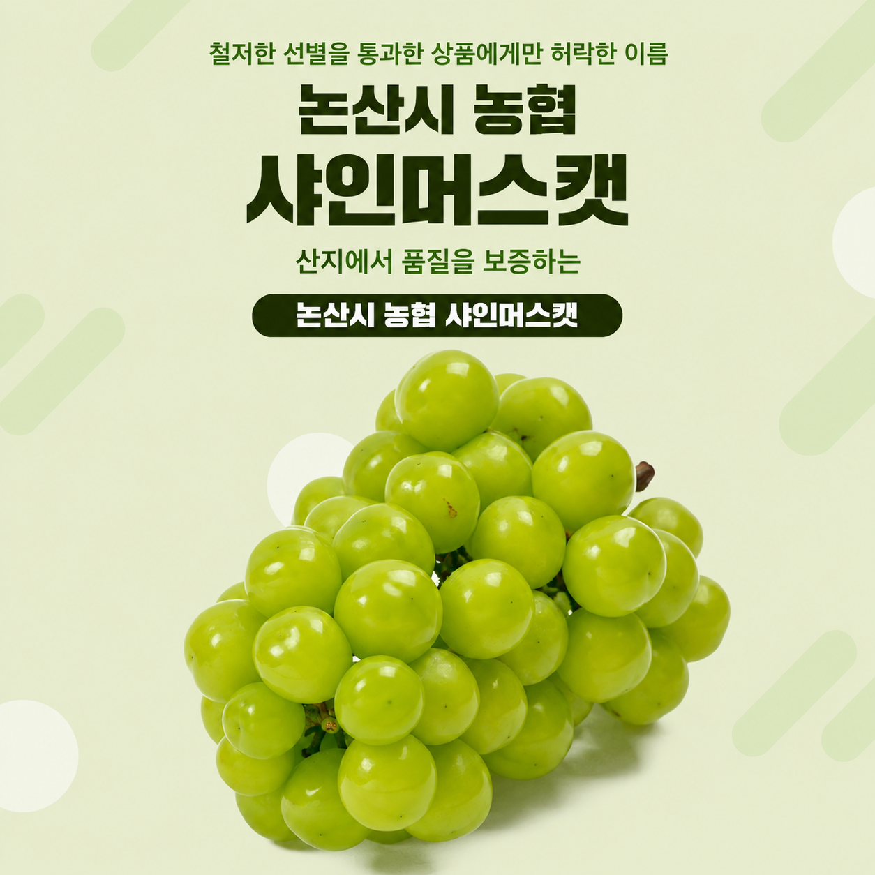 (����ó������հ����������) ���θӽ�Ĺ (2kg)