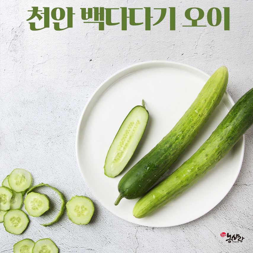 (õȽóհ)  ٴٱ  4kg(20)