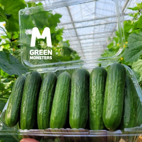 (농업회사법인 그린몬스터즈 주식회사)  그린몬스터즈 미니오이 1.5kg/3kg