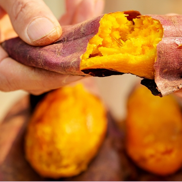 (»Ð°¡±¸¸¶³óÀå)´çÁø È£¹Ú°í±¸¸¶ 5kg/10kg(Ư»ó/Áß)