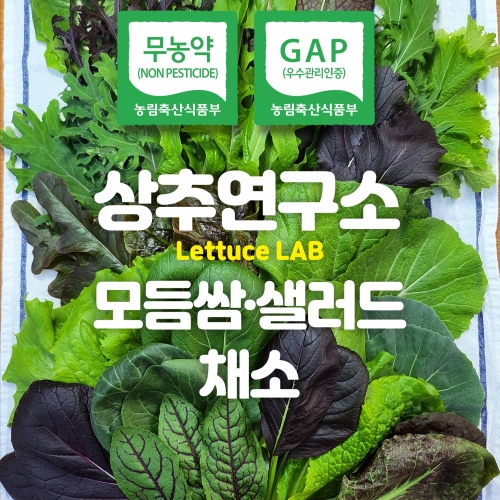 (»óÃß¿¬±¸¼Ò)½º¸¶Æ®ÆÊ ¹«³ó¾à ¸ðµë½Ó»ø·¯µåä¼Ò1kg