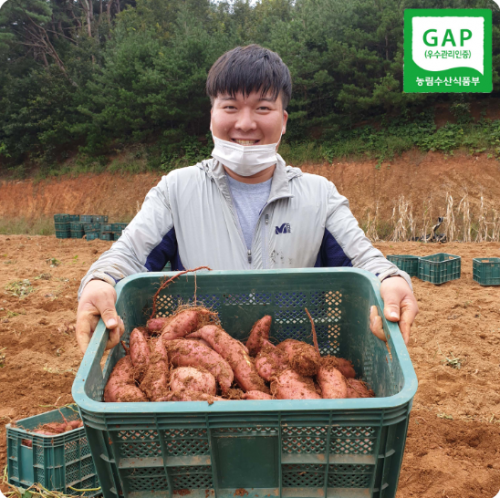 (ȣ) 25 GAP  ȣڰ (////Ư)