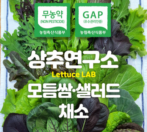 (���߿�����)����Ʈ�� ����� ���ӻ�����ä��1kg