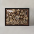 [부여버섯영농조합법인]건표고버섯 선물세트 450g