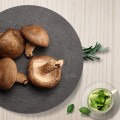 [다빈영농조합법인]표고버섯 상(향고) 1kg