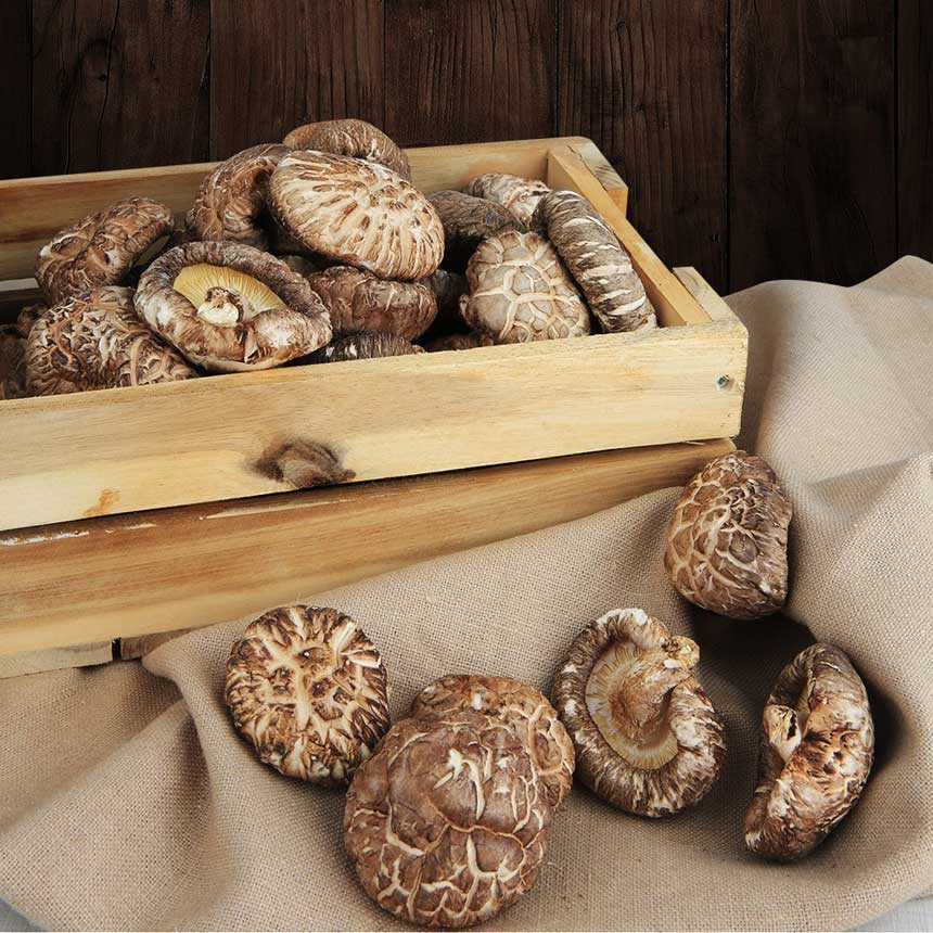 [가온버섯영농조합법인]유기농 참나무 표고버섯 원형(동고 150g/못난이 250g)