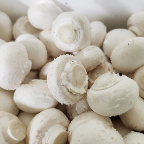 (���ȸ����θӽ��׷�(��))  ����̹��� 1kg/2kg(����,������,���ٸ�,��ǰ)