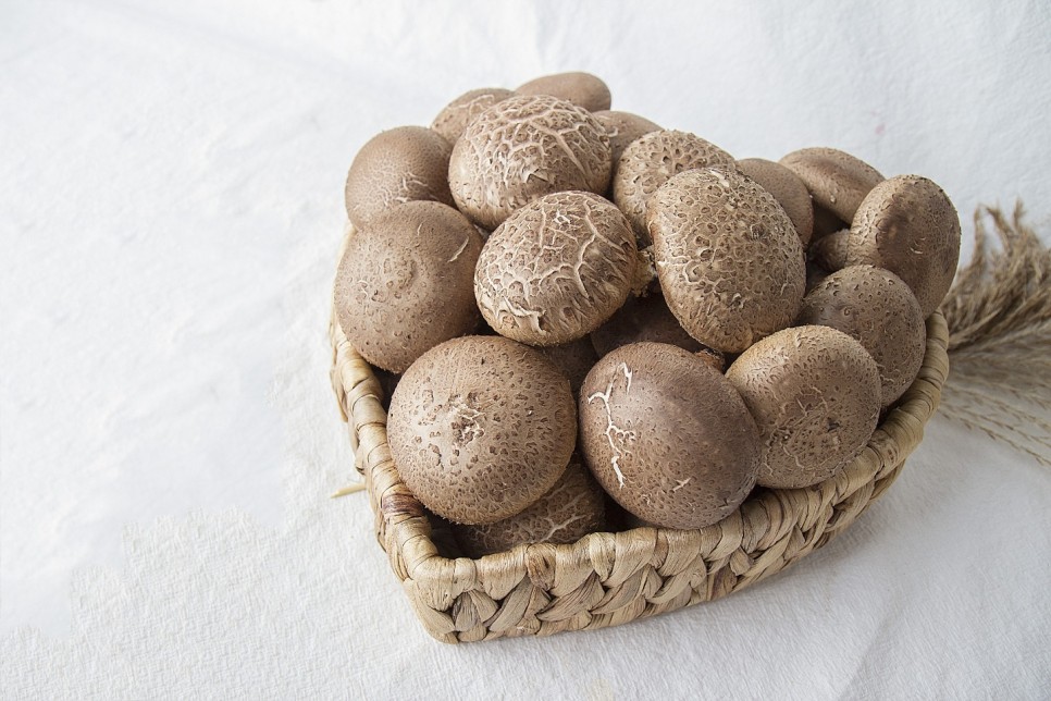 (�ҿ�ǥ��) ��ǥ������ 1Kg (�Ǽ�/��ǰ/��ǰ)