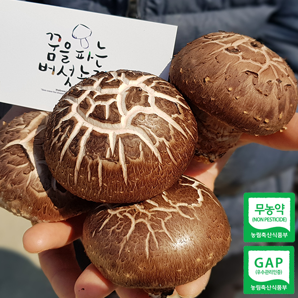 (�����Ĵ¹�������)����ǰ�� ģȯ�� ǥ������ 500g / 1kg 