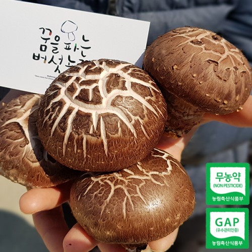 (�����Ĵ¹�������)����ǰ�� ģȯ�� ǥ������ 500g / 1kg 
