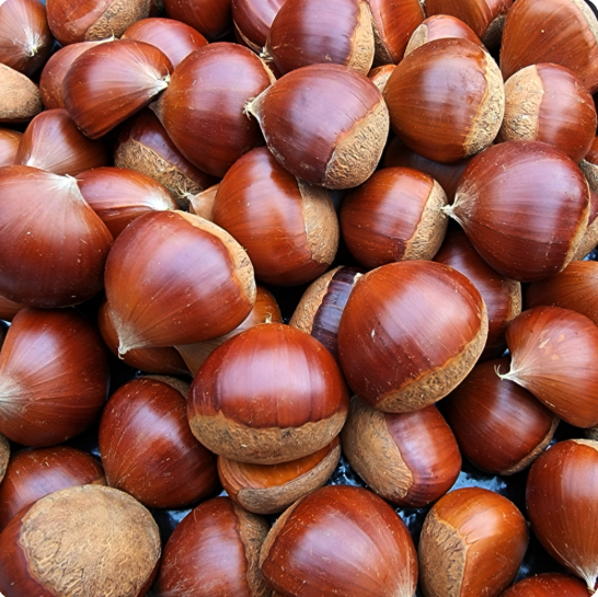 (ƻչ)˹ /Ư (2kg,4kg)