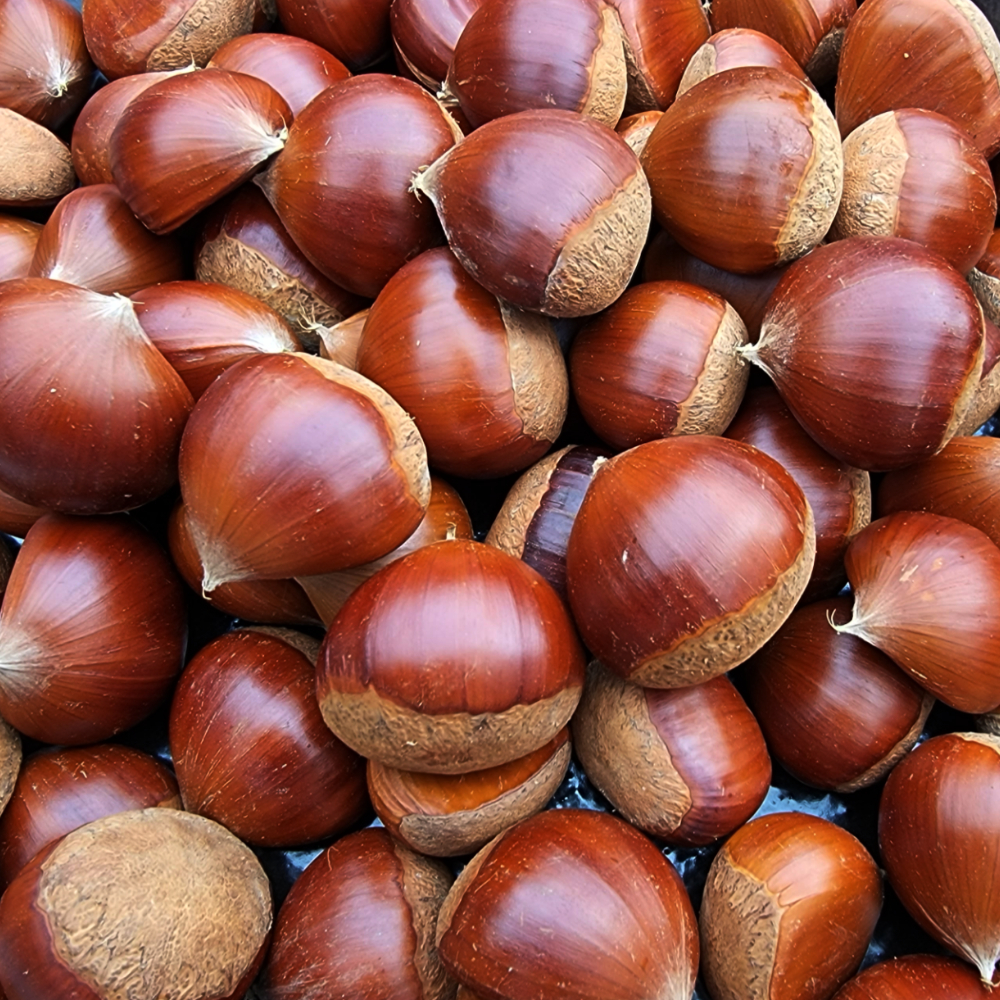 (�ƻ������������չ���)�˹� ��/Ư (1kg,2kg,4kg)