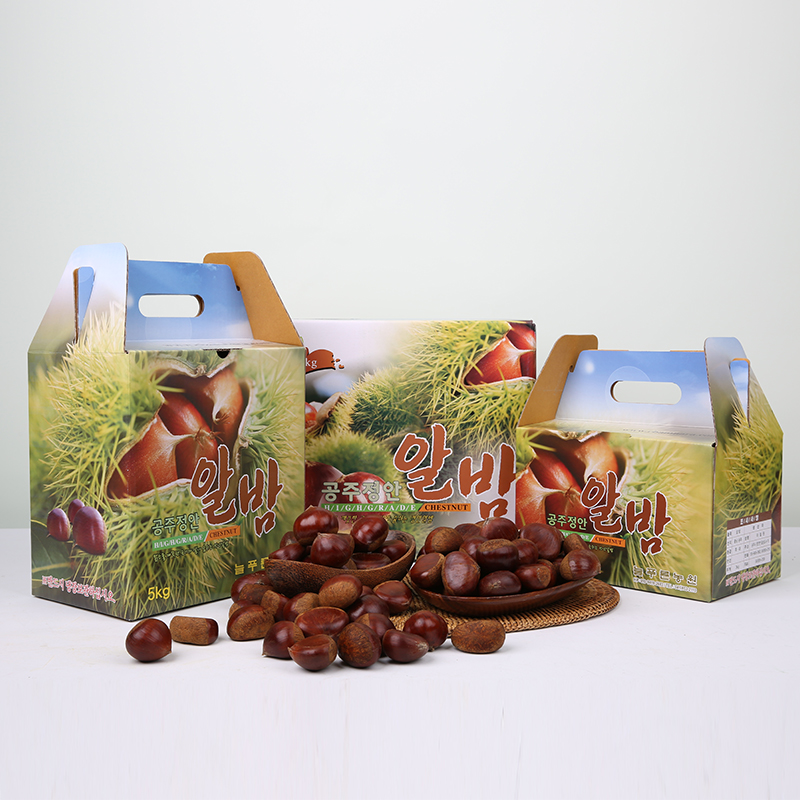 (���ѳ�ε鿵�����չ���)��Ǫ����� �������� 25��� �޹� ���� ���� �˹� ��/Ư (3kg/5kg)