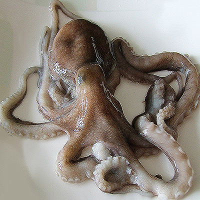 (û���¾Ƚ�ǰ)�泲�¾� �������� 3���� / 4����/ 5���� / 6���� / 7����