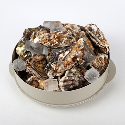 (������������)õ�ϱ����� ��ȭ �Ѹ�(�� 7~8KG)