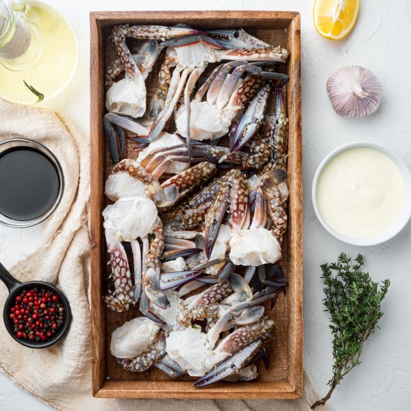 (재성수산)[청정태안] 꽉찬 속살! 간편한 손질 절단 알배기 암꽃게 500g×2팩