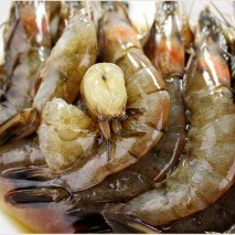 (ûÁ¤Å¾ȽÄǰ)±è¸í¿ù °£Àå»õ¿ìÀå 1.3kg,3kg,3.8kg