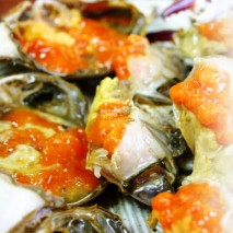 (�����ղɰ�)������ ������� / ������� / 1kg(3-5����)