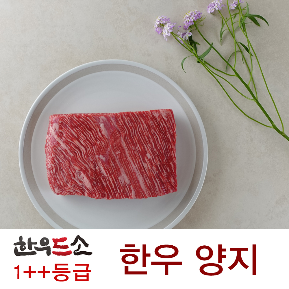 (한우드소)1++등급 한우 양지 250g (신선스킨포장)			