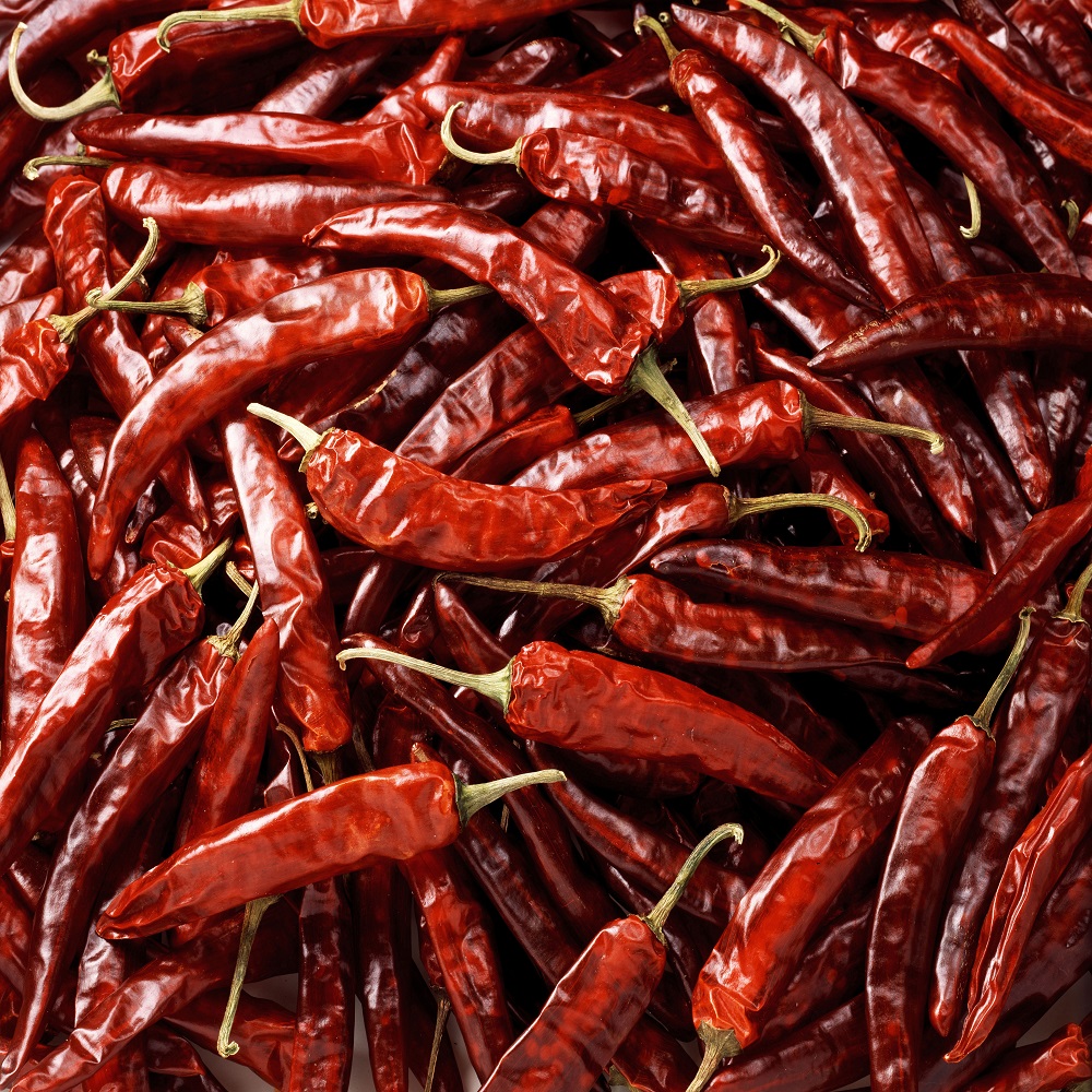 (û籺Ȱȭ)ĥ 2025 û籺 ްǰ 尡(1kg/3kg/6kg)