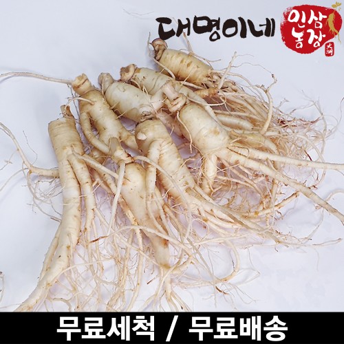 (ݻ￵չ)ݻλ ̳ ô ߼ 8Ѹ 250g