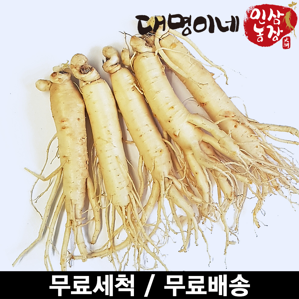 (ݻ￵չ)ݻλ ̳ ô  5Ѹ 250g