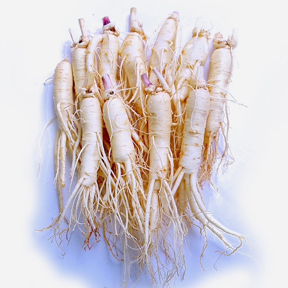 (�ݻ���￵�����չ���)��ô ������ 10�Ѹ����� 500g