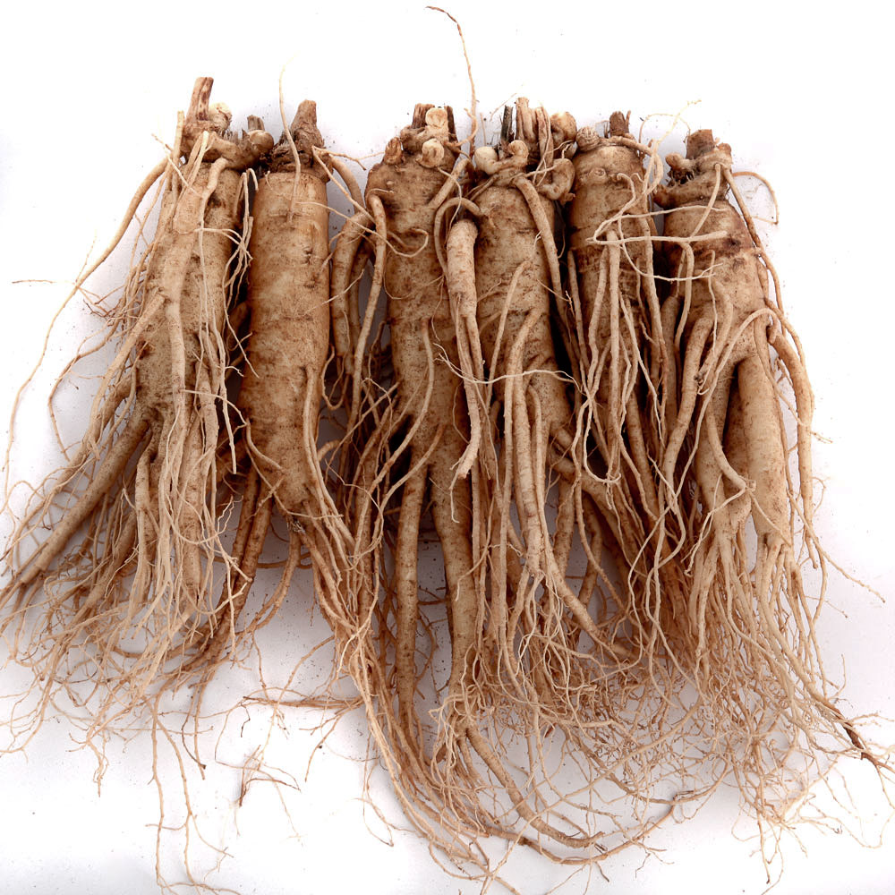 (±Ý»ê¼ö»ï¿µ³óÁ¶ÇÕ¹ýÀÎ)±Ý»êÀÎ»ï ´ë¸íÀÌ³× ¿ø¼ö»ï 5~6»Ñ¸®³»¿Ü 750g