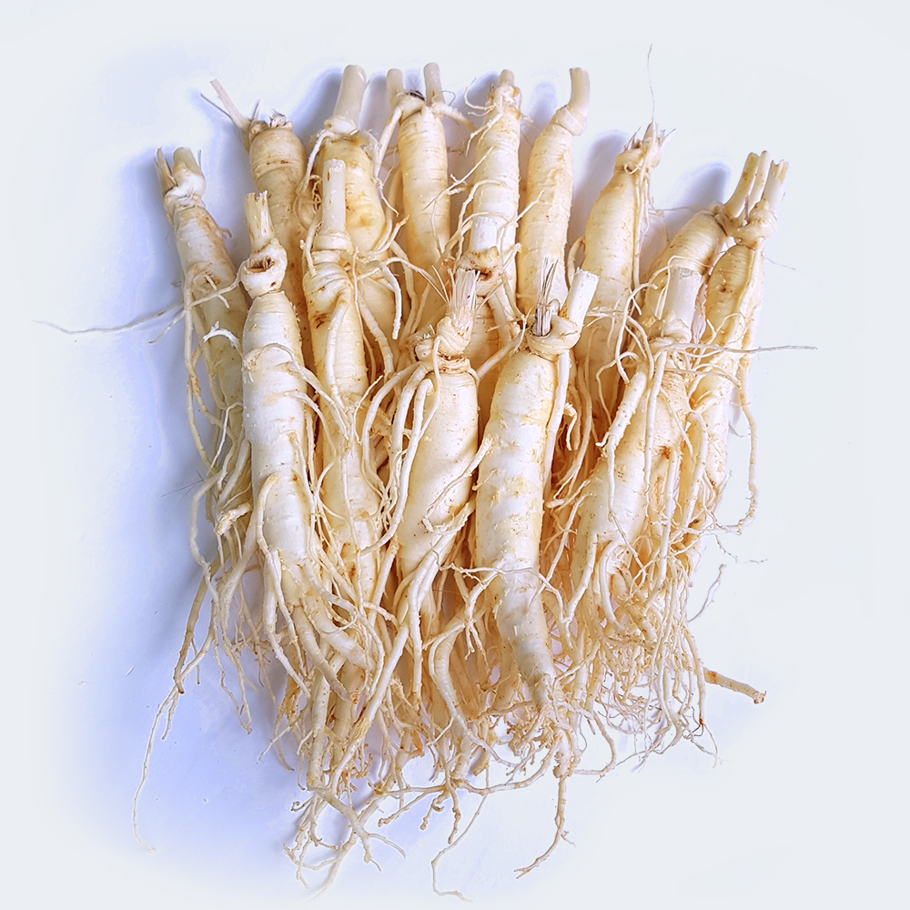 (±Ý»ê¼ö»ï¿µ³óÁ¶ÇÕ¹ýÀÎ)±Ý»êÀÎ»ï ´ë¸íÀÌ³× ¼¼Ã´ ¿ø¼ö»ï 15~20»Ñ¸®³»¿Ü 500g