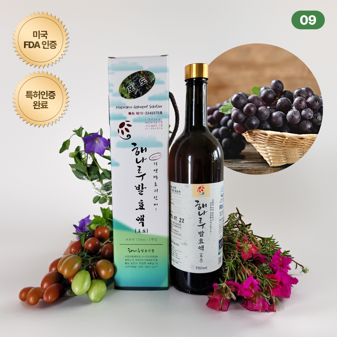 (سȿǰ) [Ưǰ]׾Ƹ ȿ  س ȿ750ml(//Ž/λ￭/12ȥ)