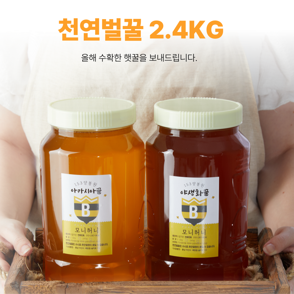 (153�����)����õ������ 2.4KG (��ī�þƲ�,�߻�ȭ��,���,���ɲ�,�ǳ�����, ������)