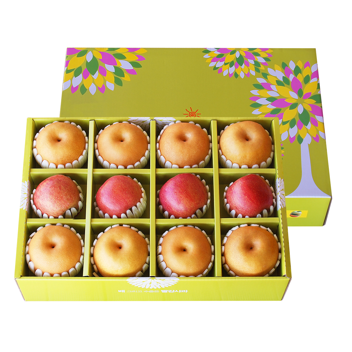 ��ǰ�̹���