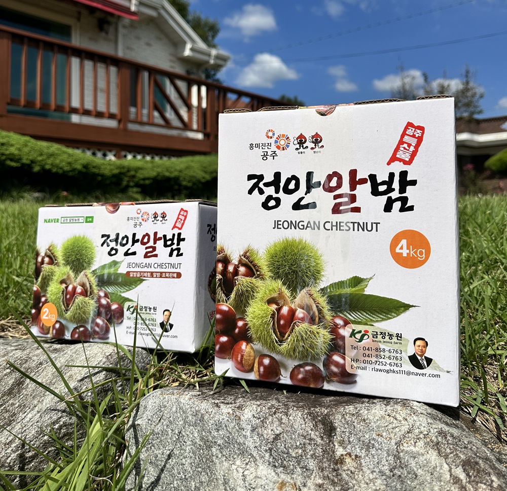 (26년 추석)(금정알밤농원) 정안대보밤 특/대 (4kg/8kg)