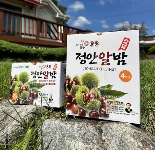 (26년 추석)(금정알밤농원) 정안알밤 깐밤 옥광 특 (500g/1kg)