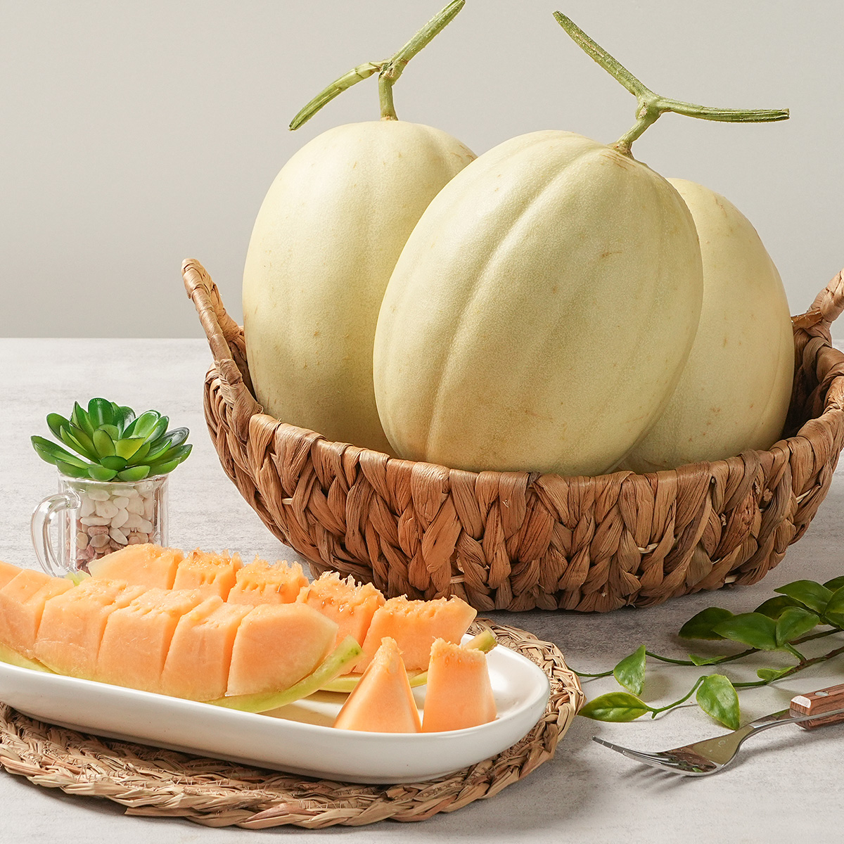 (26년 추석)(수신스타멜론) 수신스타 멜론(4~8kg) （9월 6일 출고예정)