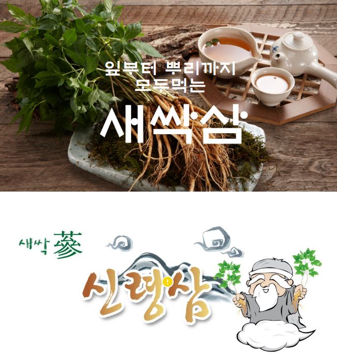 (26년 추석)(신령삼) 장수삼스페셜