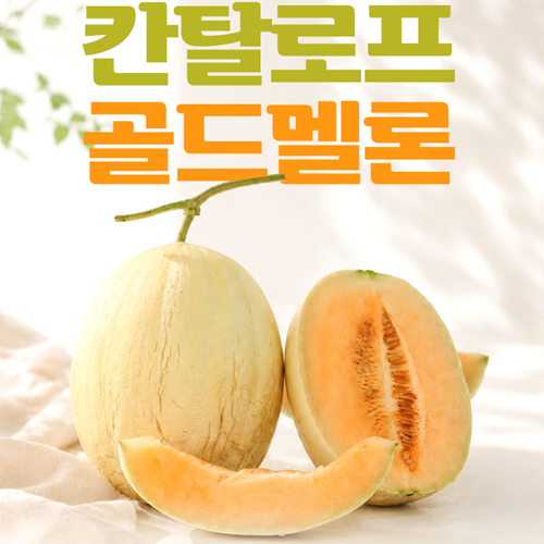 (26년 추석) (부부멜론농장) 골드멜론(3.5kg/7kg) (9월 14일 출고 예정)