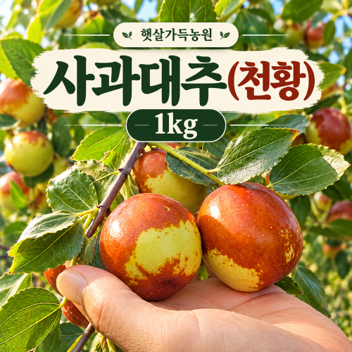 [삼성디스플레이 임직원 전용] (햇살가득농원)사과대추(천황) 1kg
