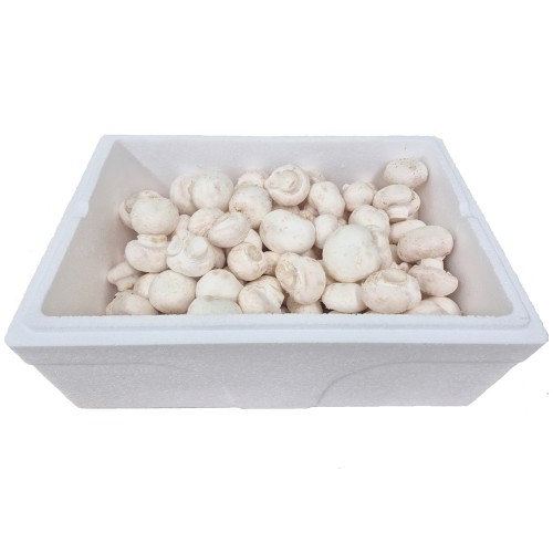 (26�� ��)(���ȸ����θӽ��׷�(��)) ����̹��� ������